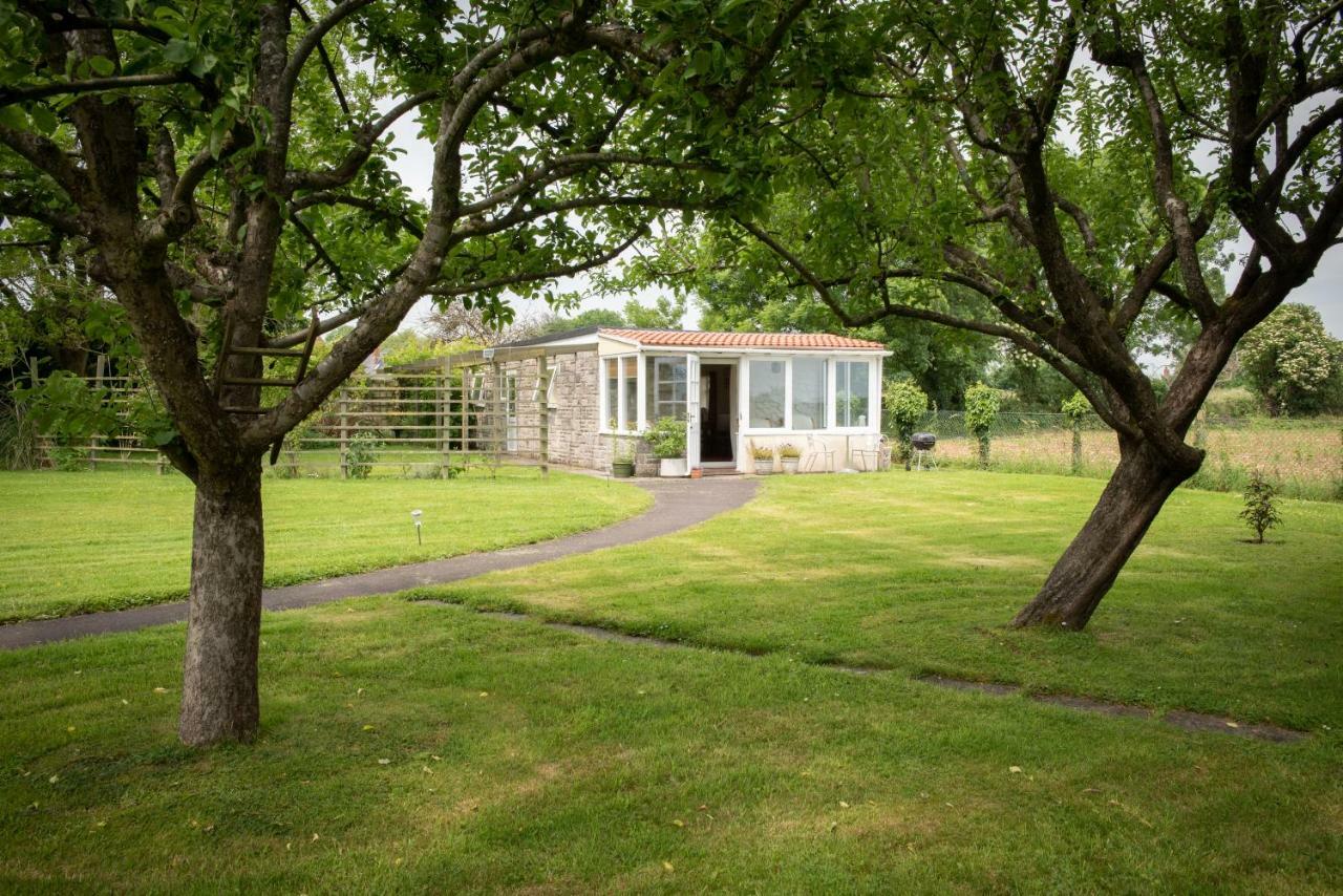 The Studio Somerton (Somerset) Exterior foto